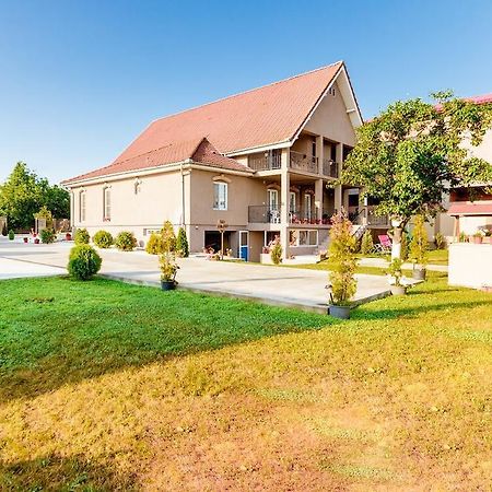 Hotel Casa Iulia Haţeg Exterior foto